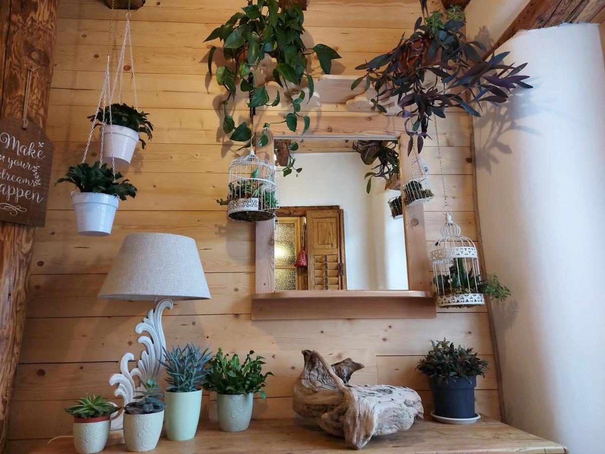 B&B Sognoincadore Domegge di Cadore Exteriér fotografie