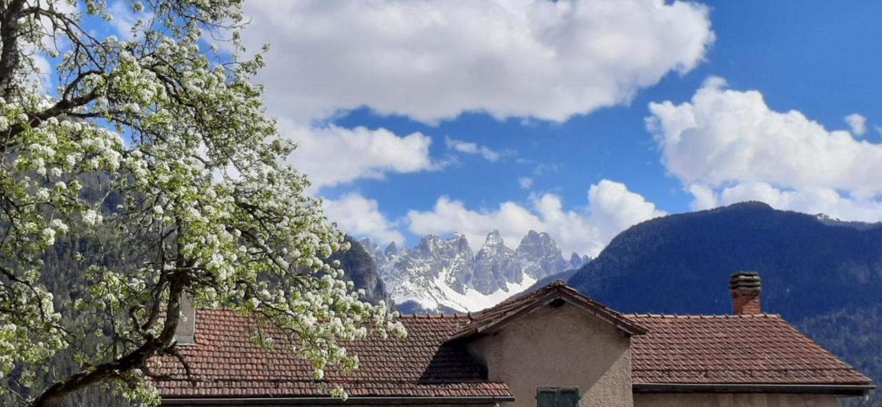 B&B Sognoincadore Domegge di Cadore Exteriér fotografie