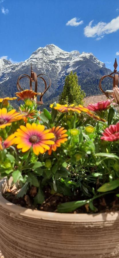 B&B Sognoincadore Domegge di Cadore Exteriér fotografie