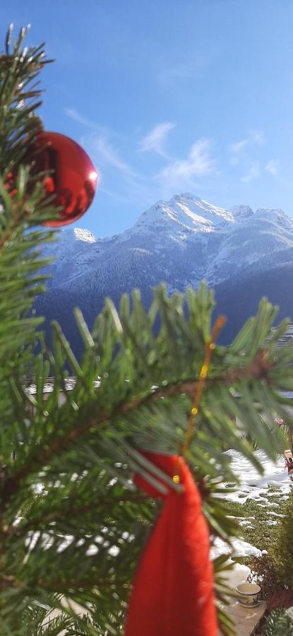 B&B Sognoincadore Domegge di Cadore Exteriér fotografie