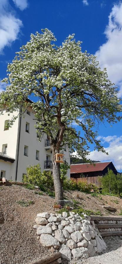B&B Sognoincadore Domegge di Cadore Exteriér fotografie