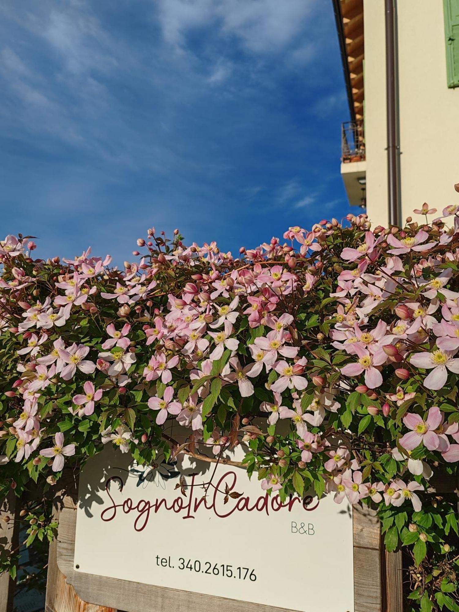 B&B Sognoincadore Domegge di Cadore Exteriér fotografie