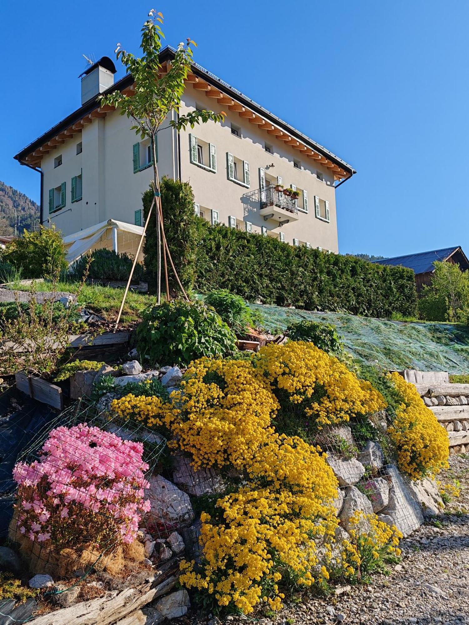 B&B Sognoincadore Domegge di Cadore Exteriér fotografie